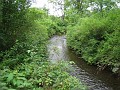 Matthaei Botanical Gardens 2010 0465